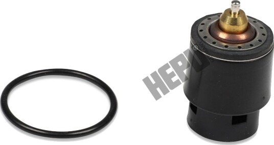 Termostat HEPU TM1241
