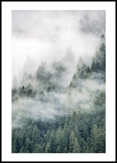 Tree Top Fog Plakat Plakat / 100x150cm