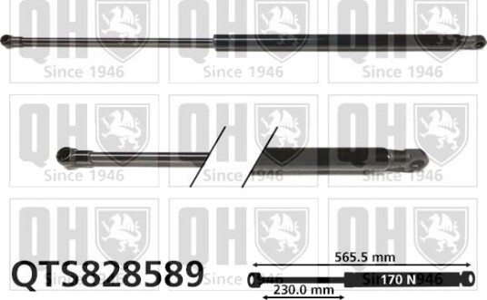 QUINTON HAZELL QTS828589 Baklukedemper