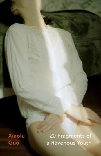20 Fragments Of A Ravenous Youth Av Xiaolu Guo