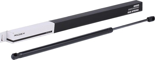 RIDEX 219G0451 Baklukedemper