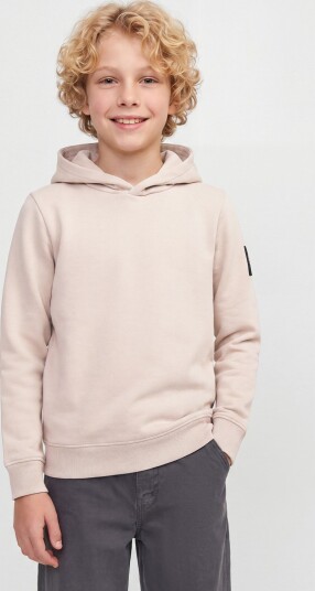 Jack & Jones Junior Cleveland Sweat Hood Grå 128