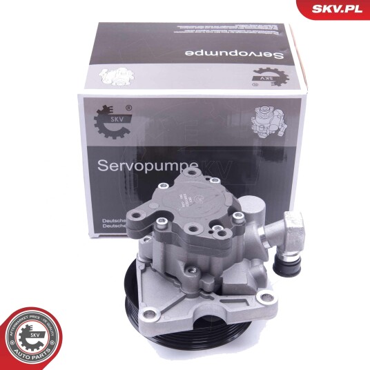 Servopumpe ESEN SKV 10SKV273