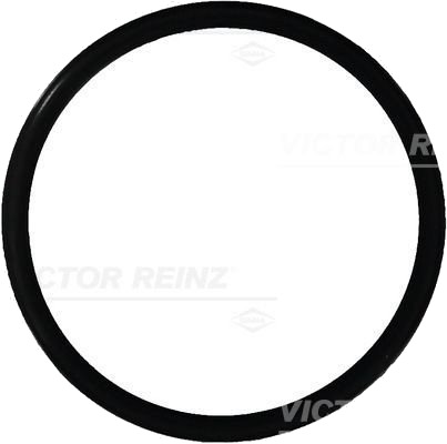 Tetningsring REINZ 40 76165 00