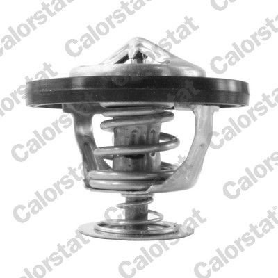 Termostat CALORSTAT by Vernet TH7217.95J