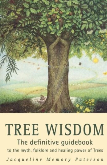 Tree Wisdom Av Jacqueline Memory Paterson Tree Wisdom Av Jacqueline Memory Paterson