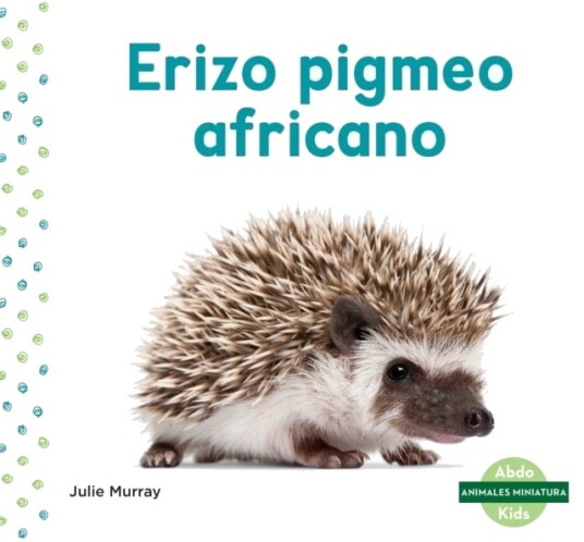 Erizo pigmeo africano (African Pygmy Hedgehog)