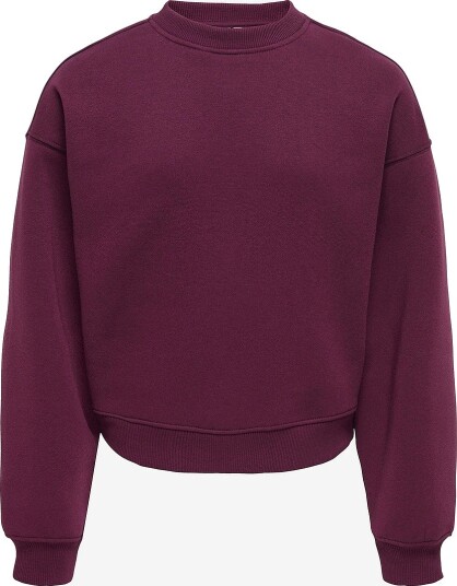 KIDS ONLY Collegegenser Kogbest Life L/S Crew Neck Swt Rød