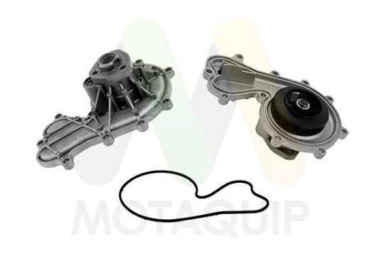 MOTAQUIP LVWP1090 Vannpumpe