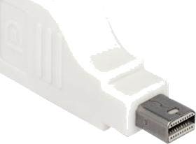 Delock Displayport Adapter Mini Displayport Hann Til Displayport Hunn Displayport 1.2 4K Støtte Hvit