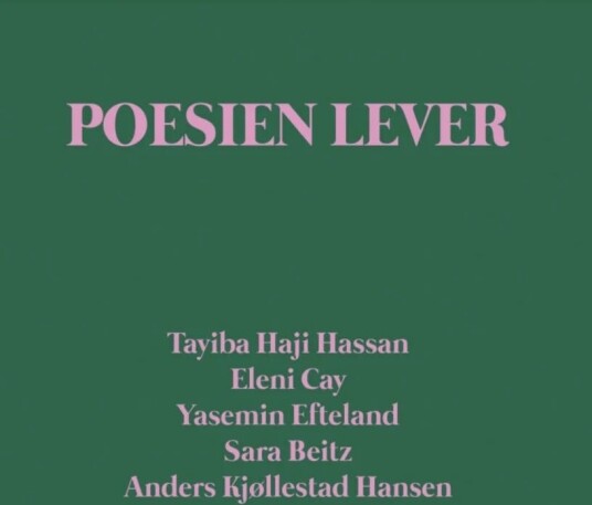 Poesien Lever Av Sara Beitz, Eleni Cay, Yasemin Efteland, Anders Kjøllestad Hansen, Tayiba Haji Hassan
