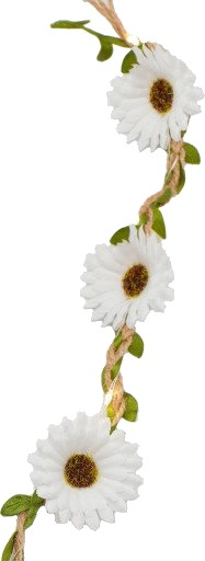 Sirius Flora Sommerblomster lyslenke 2 meter hvit