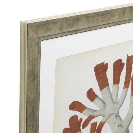 Eichholtz Print Antique Red Corals set of 6 Eichholtz Print Antique Red Corals set of 6