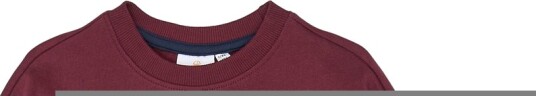 The New Collegegenser TnValerie Burgundy The New 13 14 år (158 164) Collegegenser Bordeaux