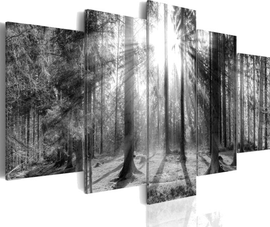 Bilde Forest Of Memories 200x100 Artgeist sp. z o. o.