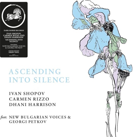 Carmen Rizzo Ascending Into Silence LP/Vinyl Carmen Rizzo Ascending Into Silence LP/Vinyl