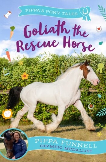 Goliath the Rescue Horse Goliath the Rescue Horse