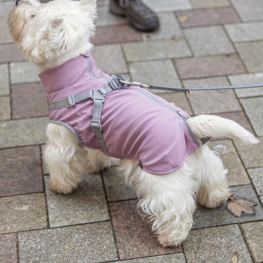 Trixie Pontis Rain regnjakke med integrert sele for hund 44-48 cm Rosa