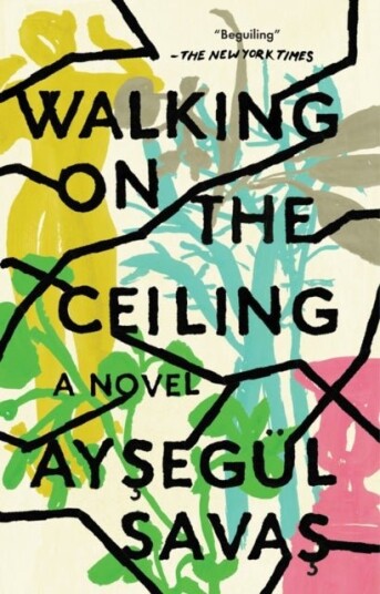 Walking On The Ceiling Walking On The Ceiling