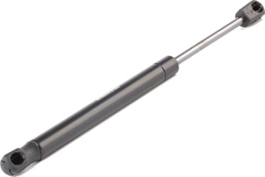 RIDEX 219G0203 Baklukedemper