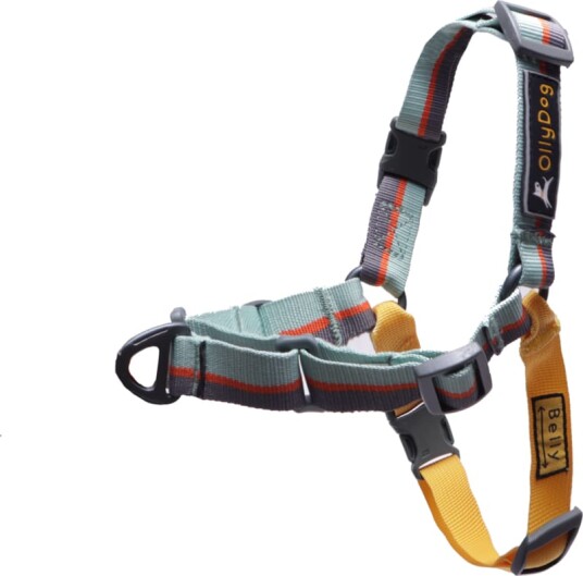OllyDog Essential Harness L, Surf