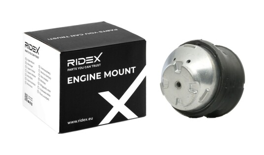 Motorfeste RIDEX 247E0213