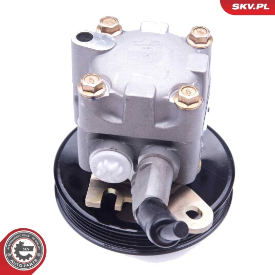 Servopumpe ESEN SKV 10SKV276