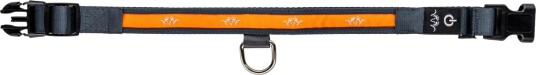 Blaser Led Hundehalsbånd Oransje Blaser Led Hundehalsbånd Oransje