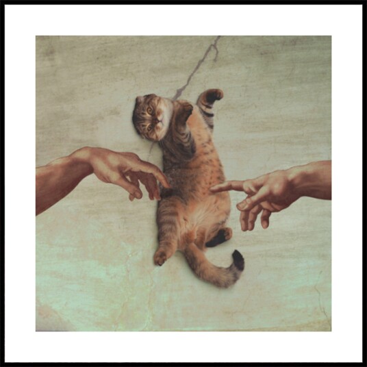 The Creation of Cat Plakat / 50x50
