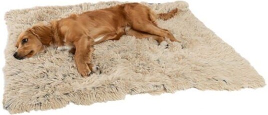 Best Friends By Sheri Koselig Hundeteppe Beige