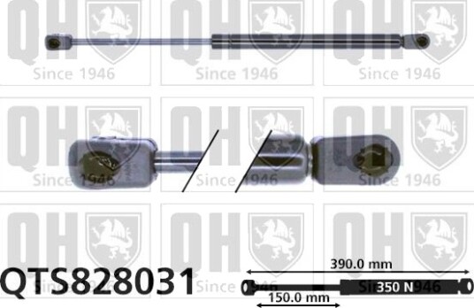 QUINTON HAZELL QTS828031 Baklukedemper