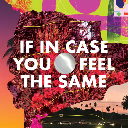 Thad Cockrell If In Case You Feel The Same CD