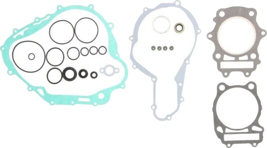 Tetnings helsett motor WINDEROSA 811592 Tetnings helsett motor WINDEROSA 811592