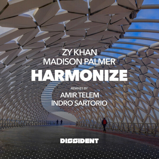 Zy & Palmer Khan Harmonize CD