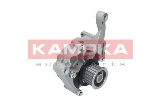 Vannpumpe KAMOKA T0167