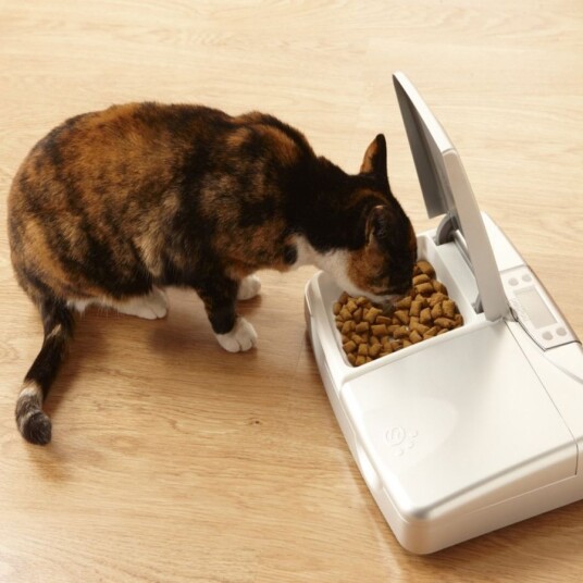 Kattinorge Petsafe Staywell forautomat til hund og katt digital timer