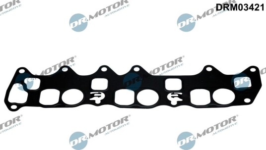 Tetning, innsugningsmanifold DR.MOTOR AUTOMOTIVE DRM03421