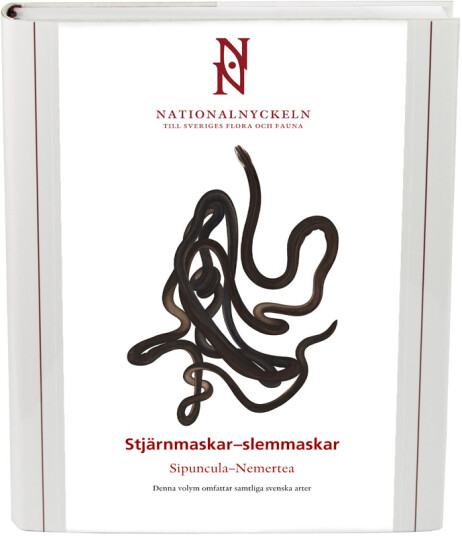 Stjärnmaskar slemmaskar. Sipuncula Nemertea