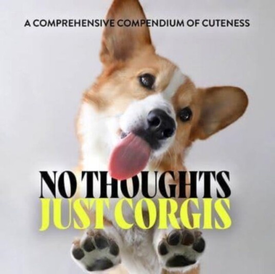 No Thoughts Just Corgis Av Union Square & Co. No Thoughts Just Corgis Av Union Square & Co.