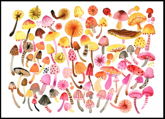 Whimsical Mushroom Collection Plakat / 40x50