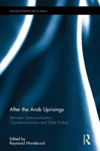 Hinnebusch Raymond After the Arab Uprisings