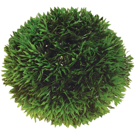Plant Ball Green 9 cm
