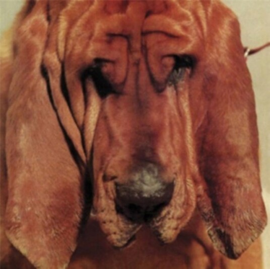 Ty Segall Goodbye Bread LP/Vinyl Ty Segall Goodbye Bread LP/Vinyl