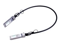 Lanview - Direktekoblingskabel - SFP+ til SFP+ - 3 m - toakset - passiv