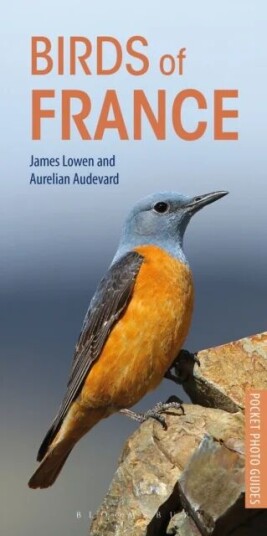 Birds Of France Av James Lowen, Aurelien Audevard Birds Of France Av James Lowen, Aurelien Audevard