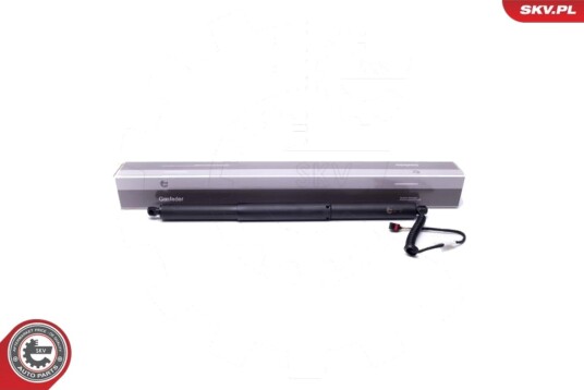 Elektromotor bakluke ESEN SKV 52SKV903 Elektromotor bakluke ESEN SKV 52SKV903