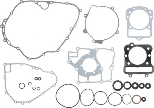 Tetnings helsett motor WINDEROSA 811805