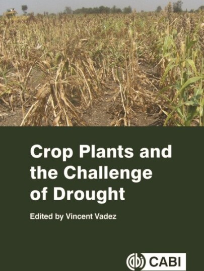Crop Plants and the Challenge of Drought