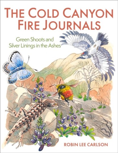 The Cold Canyon Fire Journals Av Robin Lee Carlson