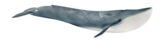 Schleich Blåhval Figur i Plast - Dyr